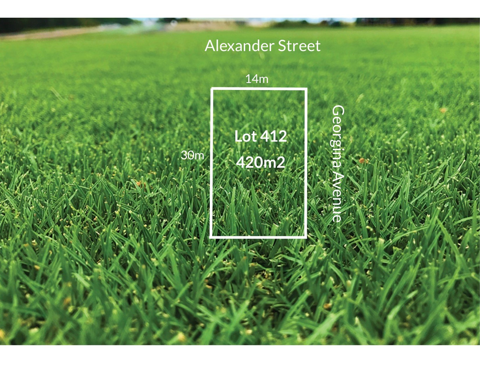Lot 412 Lot 412 Seachange Estate, St&nbsp;Leonards image 2