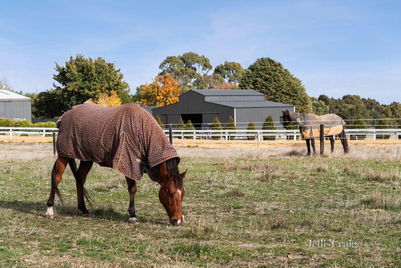 Lot 4/203 Sharpes Road, Miners Rest image 1