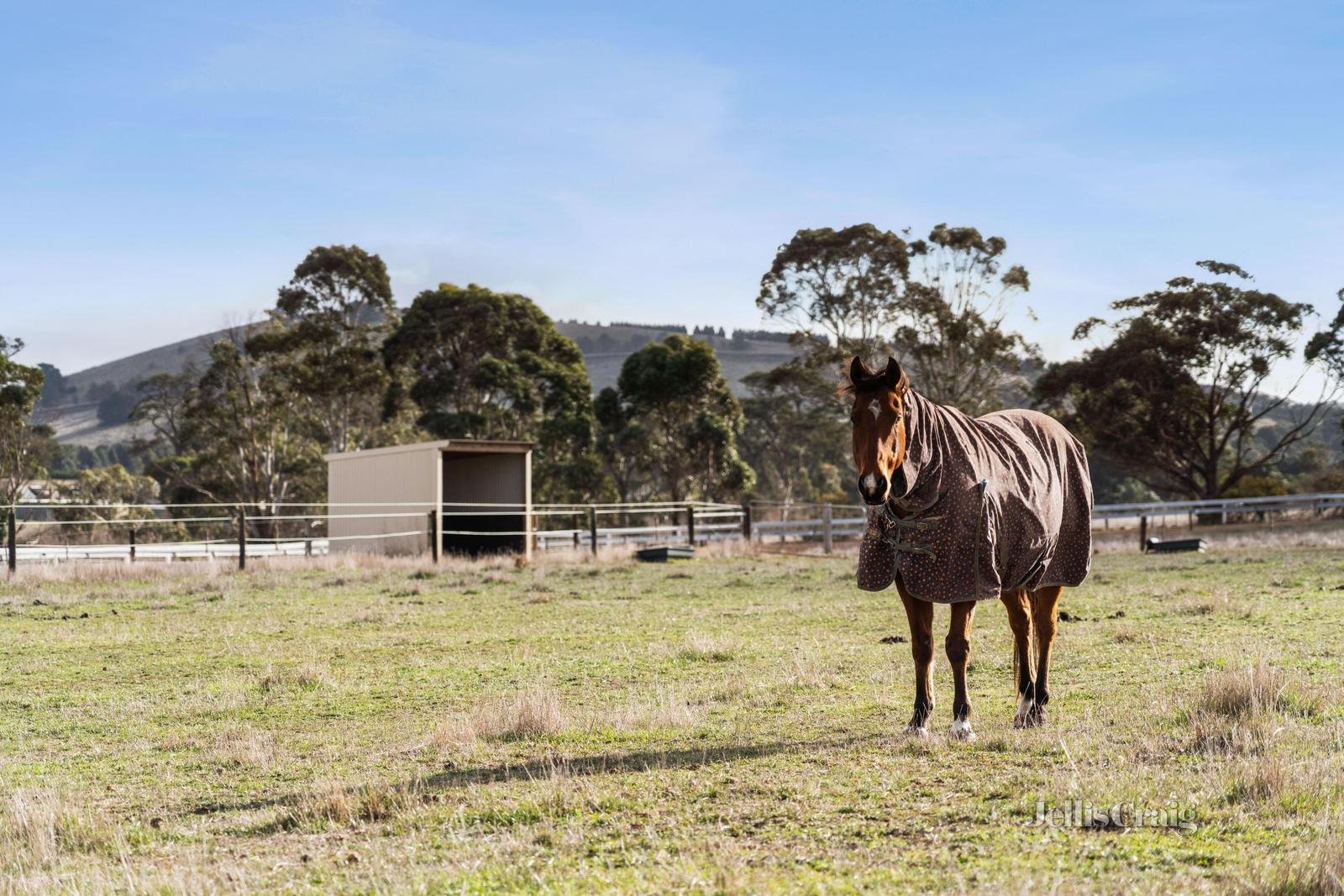 Lot 4/203 Sharpes Road, Miners Rest image 12