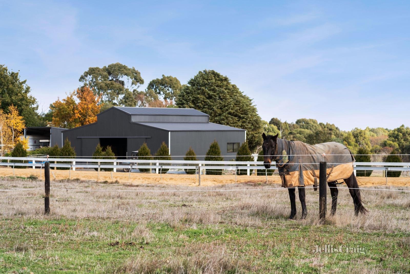 Lot 4/203 Sharpes Road, Miners Rest image 16