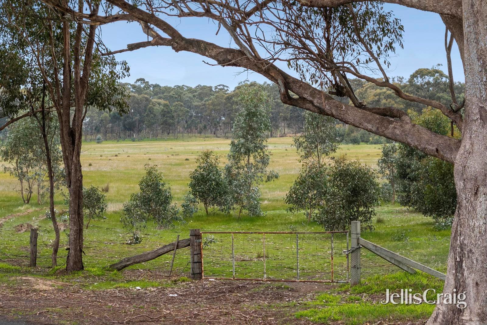 Lot 6 & 7, 540 Muckleford Walmer Road, Muckleford image 3