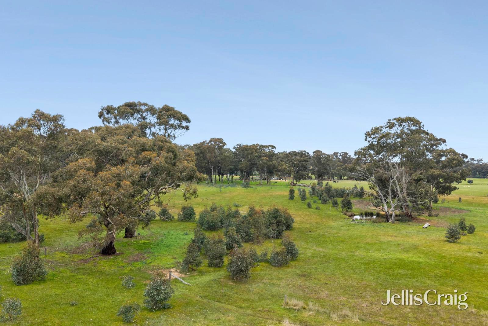 Lot 6 & 7, 540 Muckleford Walmer Road, Muckleford image 4