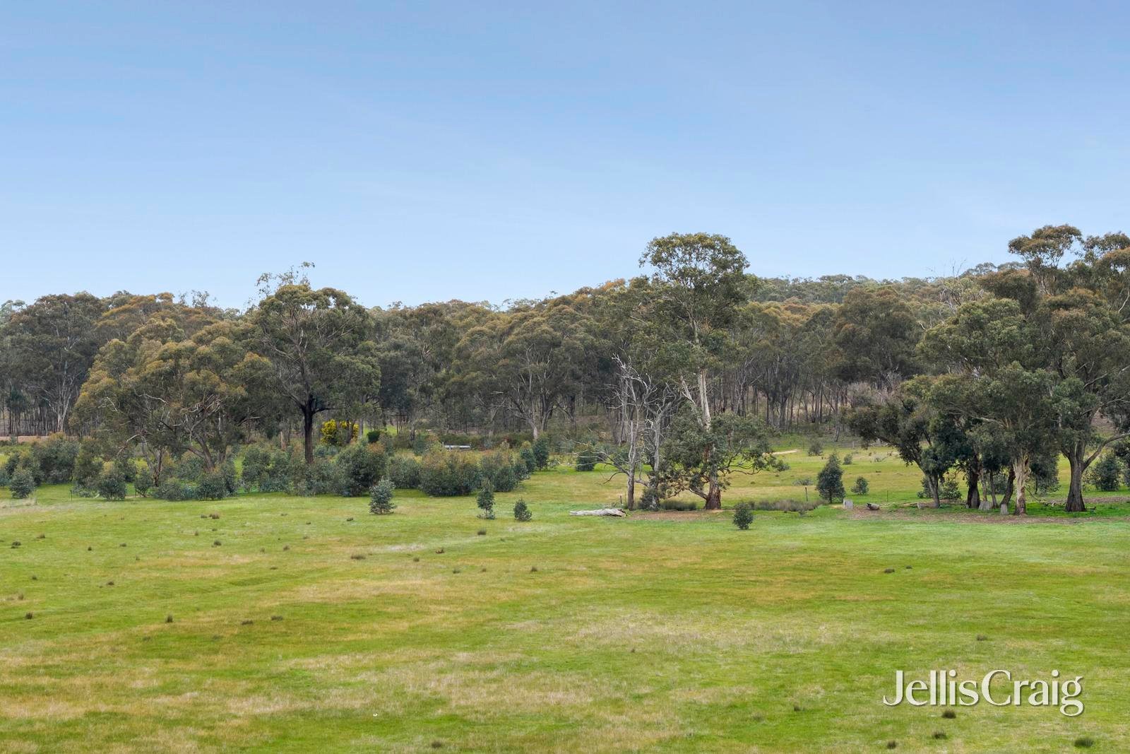 Lot 6 & 7, 540 Muckleford Walmer Road, Muckleford image 6