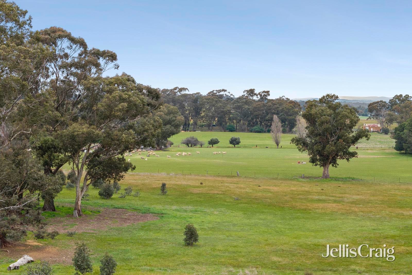 Lot 6 & 7, 540 Muckleford Walmer Road, Muckleford image 8
