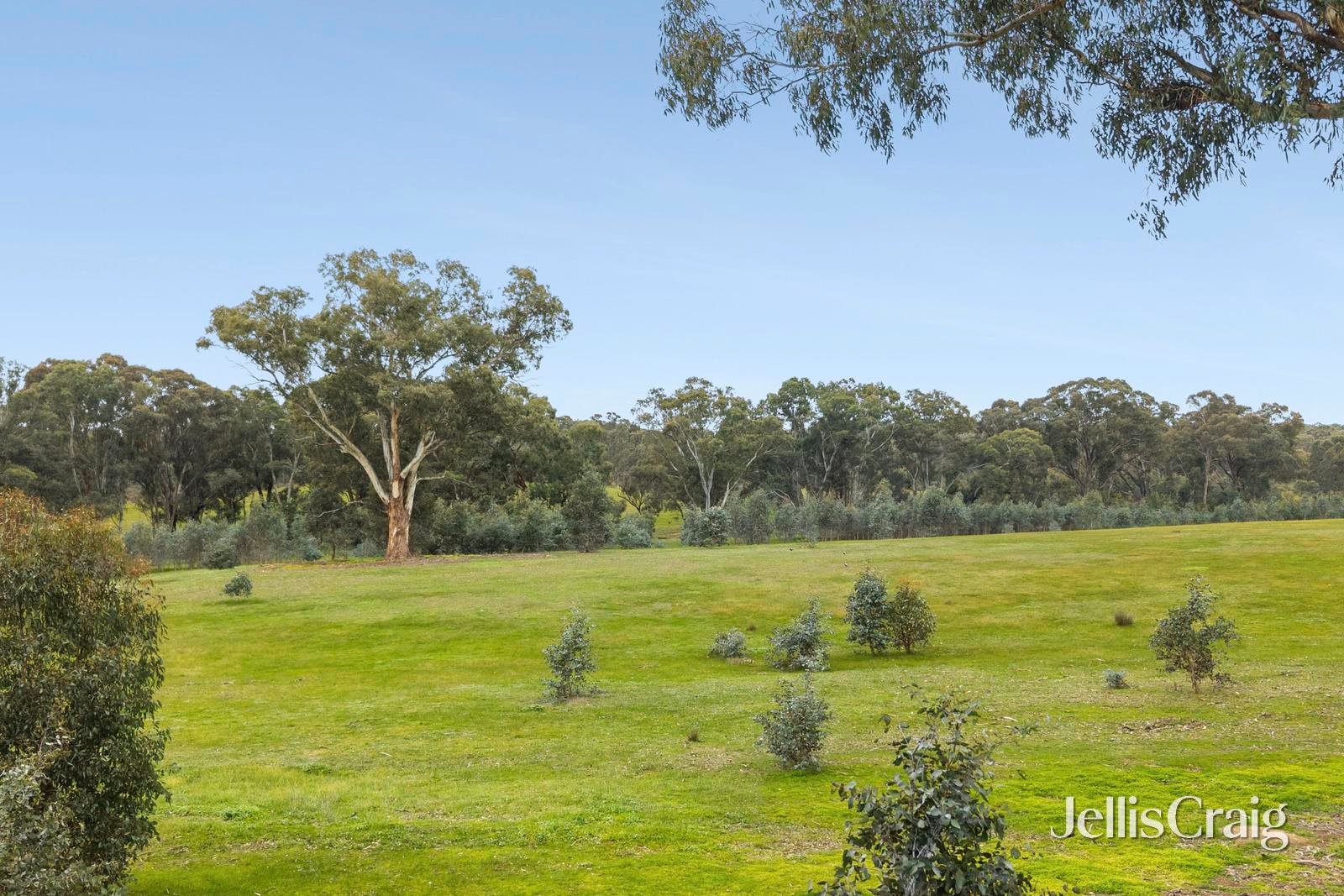 Lot 6 & 7, 540 Muckleford Walmer Road, Muckleford image 9