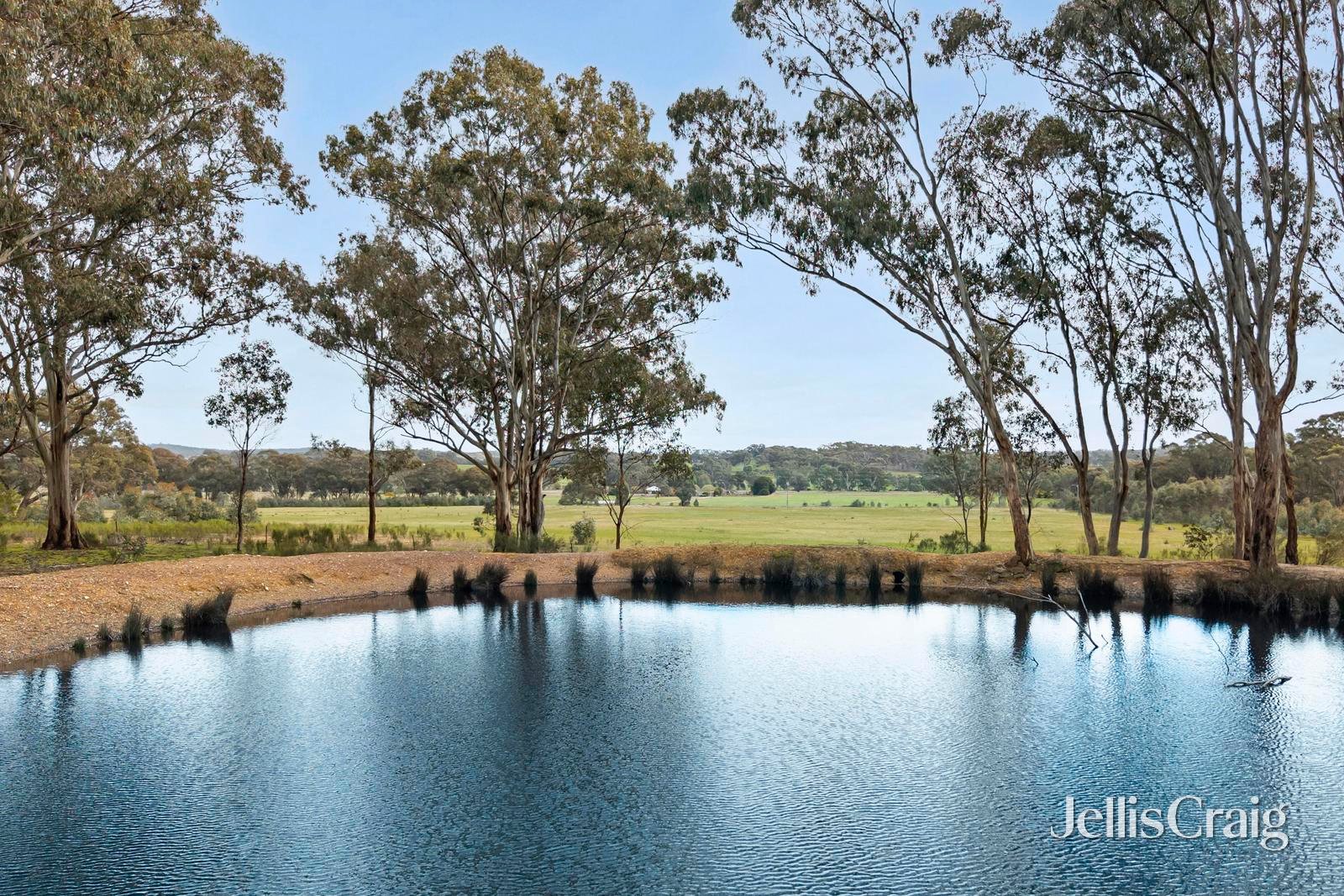 Lot 6 & 7, 540 Muckleford Walmer Road, Muckleford image 13