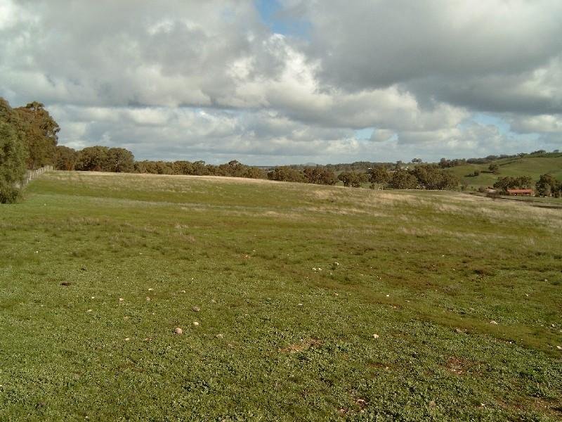 Lot , 6 Donkey Gully Road, Campbells Creek image 1