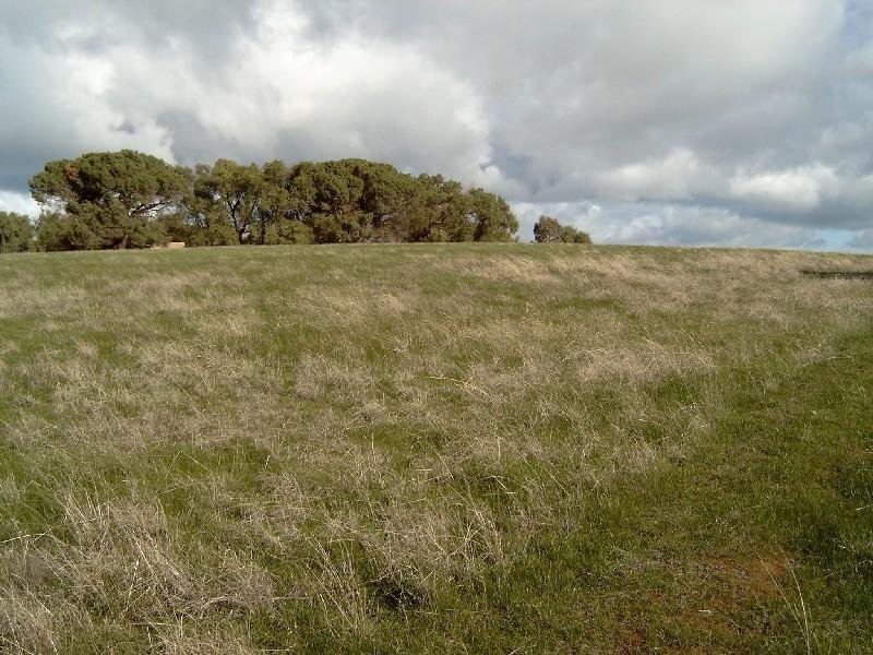 Lot , 6 Donkey Gully Road, Campbells Creek image 6