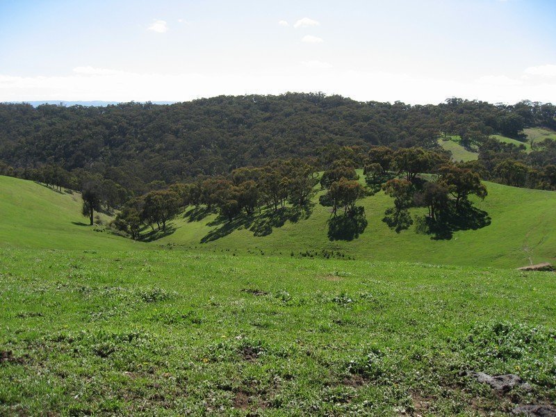 Lot 7 Barina Heights Road, Yea image 4