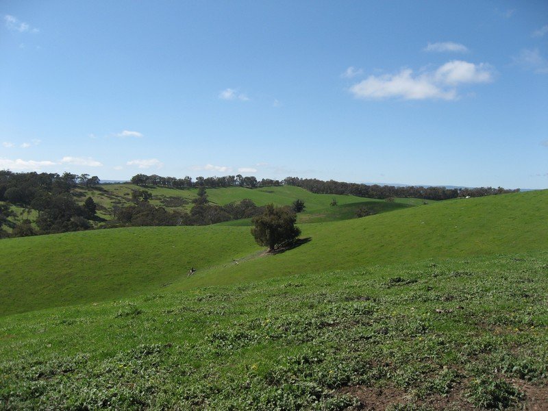 Lot 7 Barina Heights Road, Yea image 5
