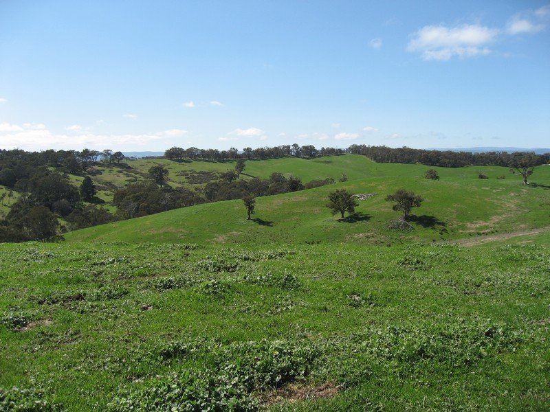 Lot 7 Barina Heights Road, Yea image 7