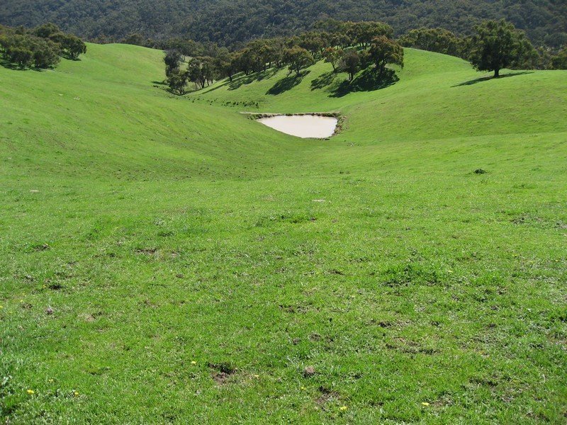 Lot 7 Barina Heights Road, Yea image 10