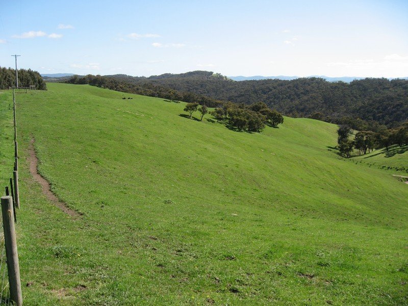 Lot 7 Barina Heights Road, Yea image 11