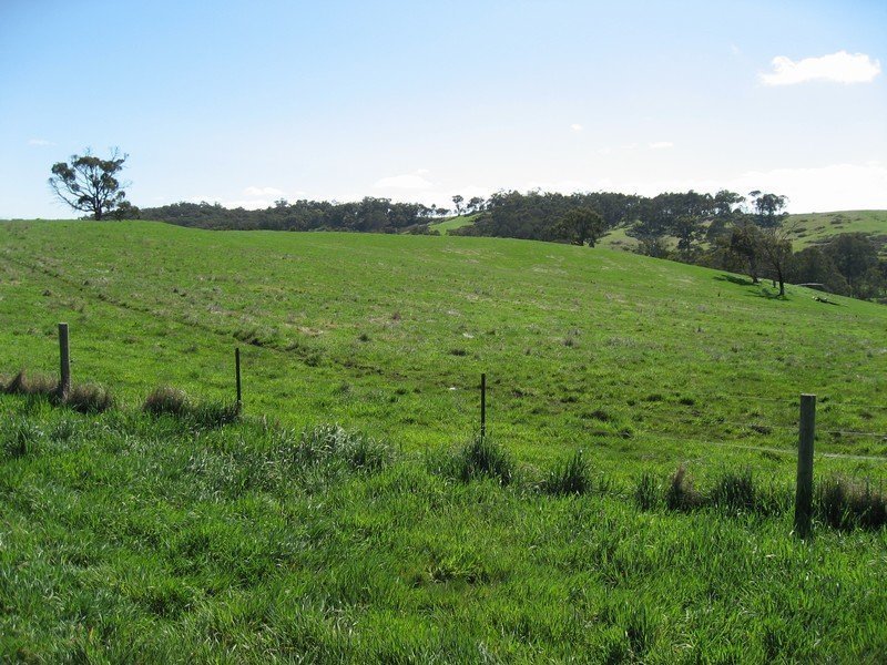 Lot 7 Barina Heights Road, Yea image 14