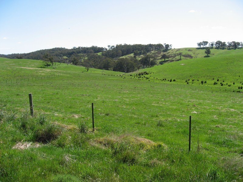 Lot 7 Barina Heights Road, Yea image 17