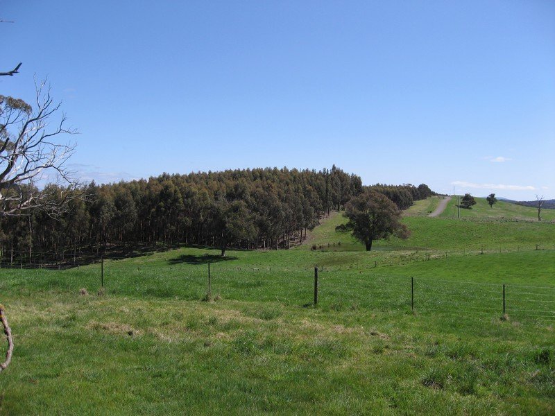 Lot 7 Barina Heights Road, Yea image 19