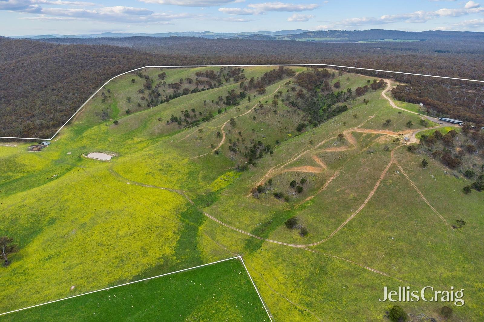 Lot 8 Ben Major Track, Mount Lonarch image 30
