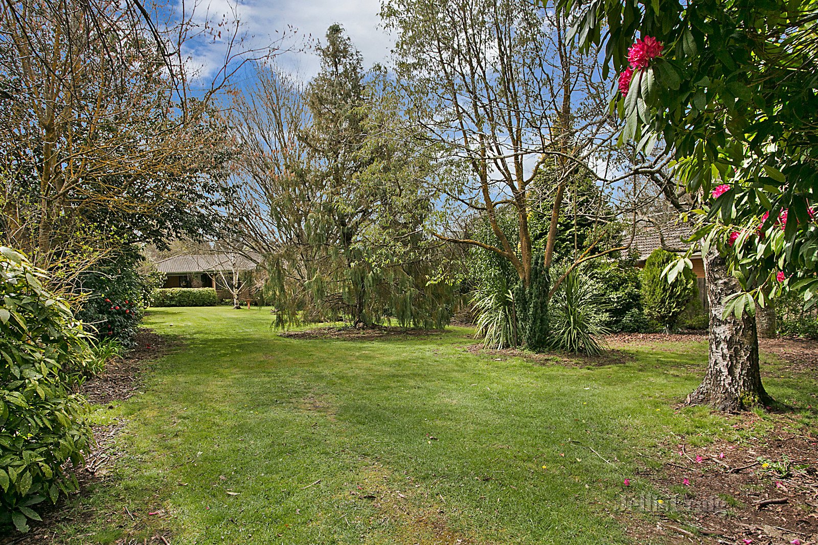 Lot 8 Camp Street, Trentham image 5