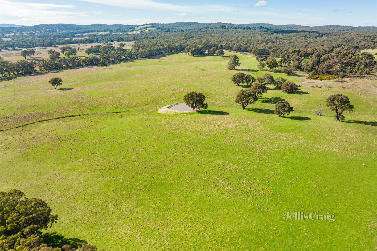 Lot 86 Surface Hill Lane, Raglan image 2