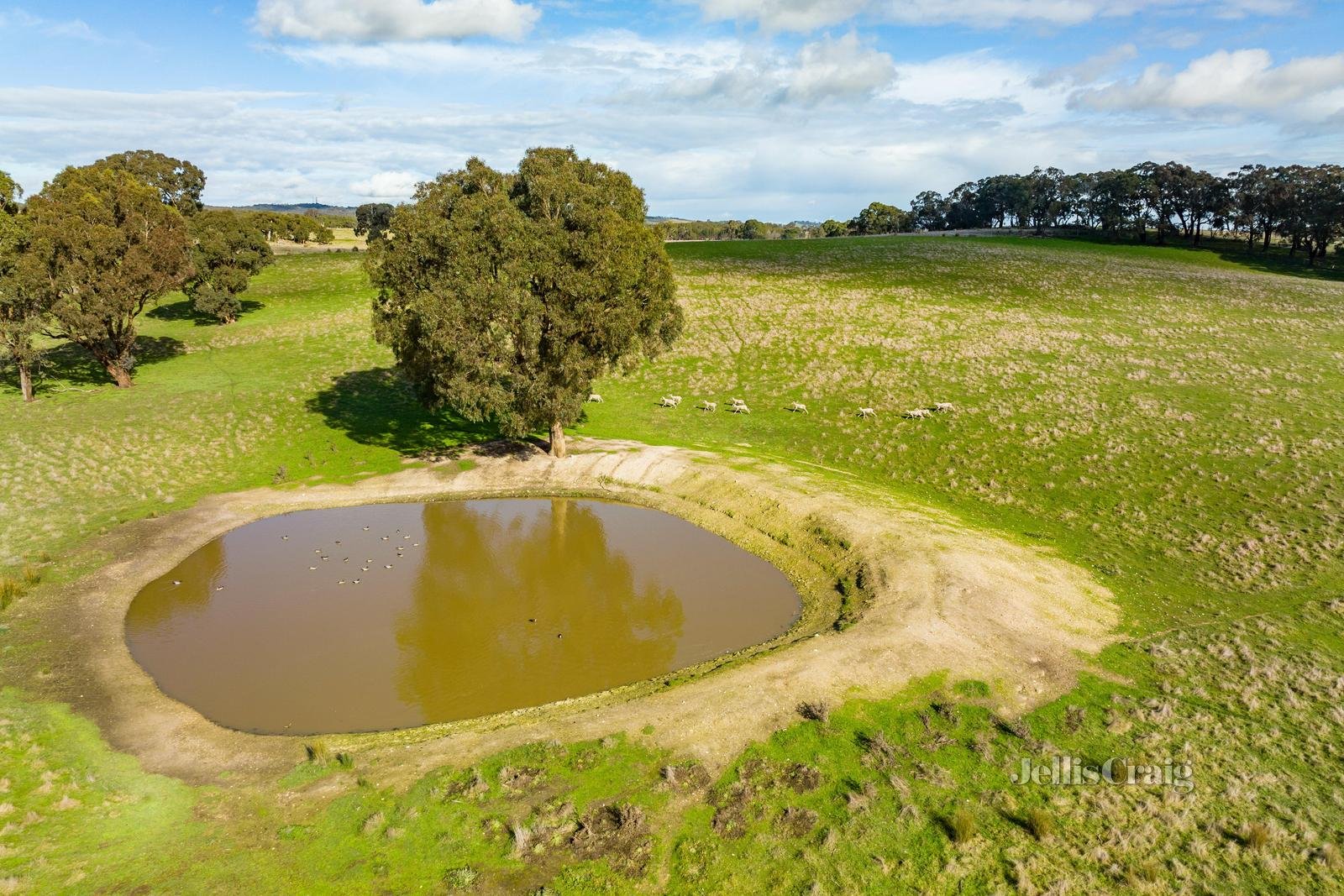 Lot 86 Surface Hill Lane, Raglan image 3