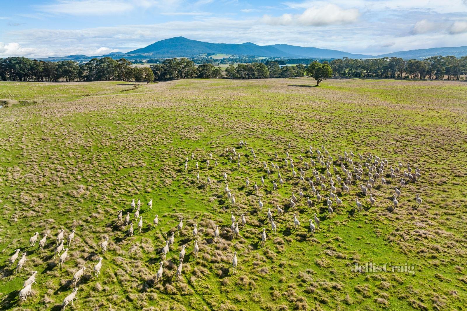 Lot 86 Surface Hill Lane, Raglan image 4