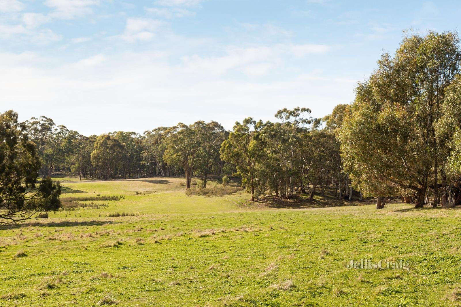 Lot 86 Surface Hill Lane, Raglan image 5