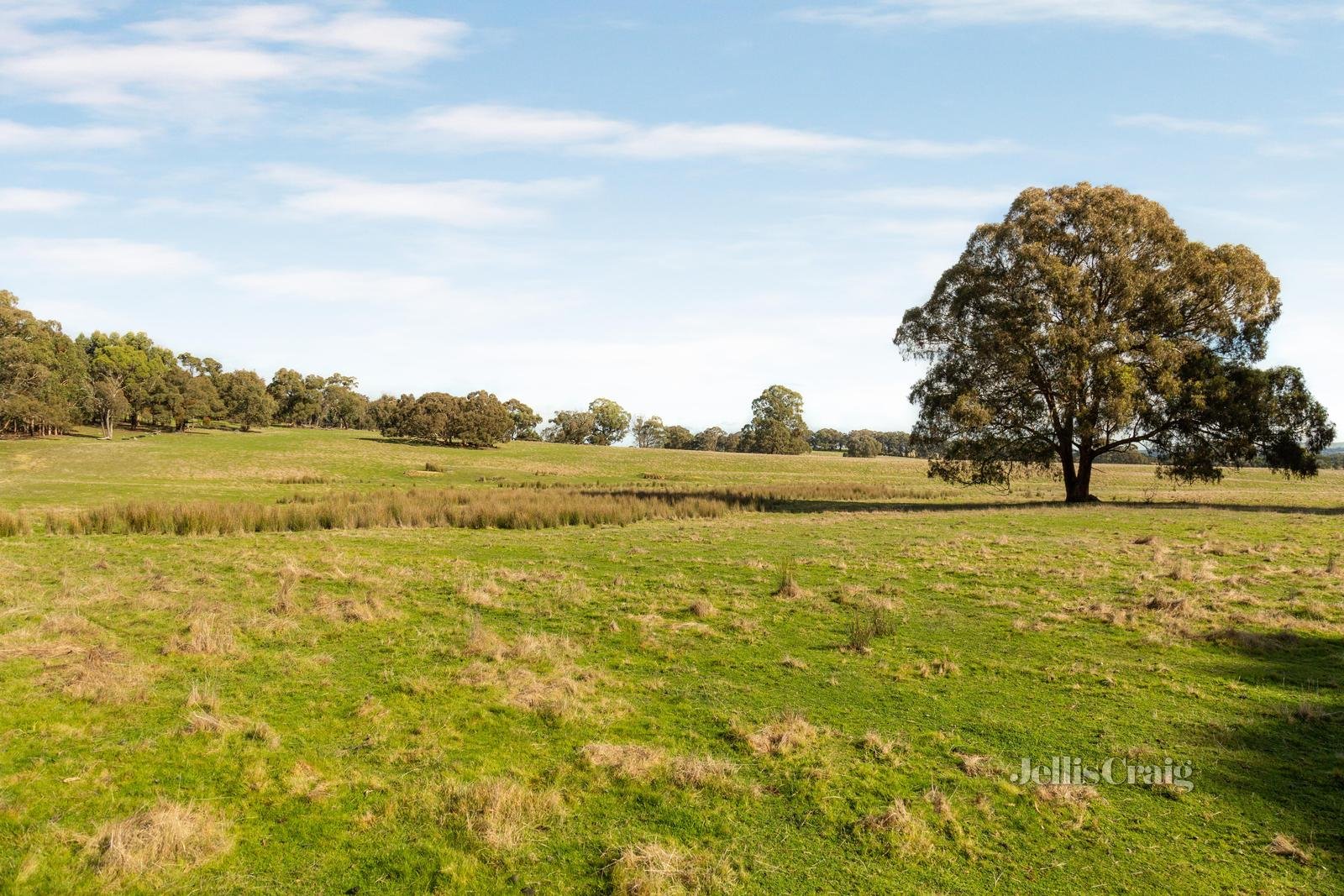 Lot 86 Surface Hill Lane, Raglan image 7