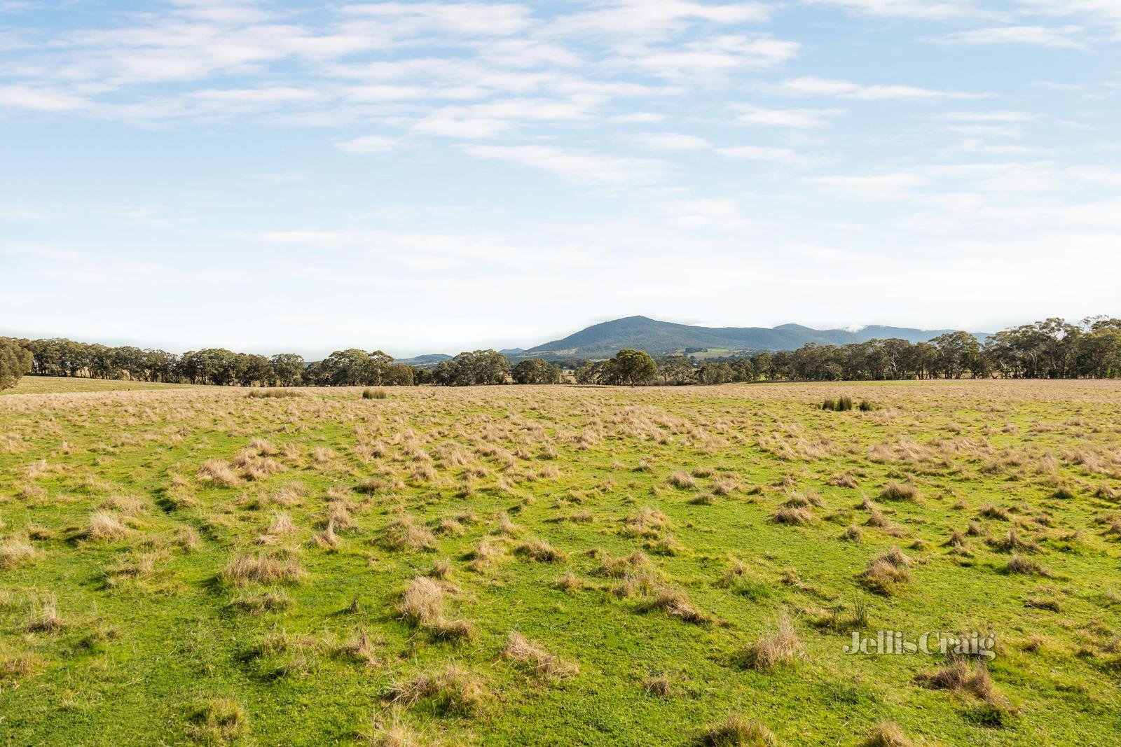 Lot 86 Surface Hill Lane, Raglan image 8