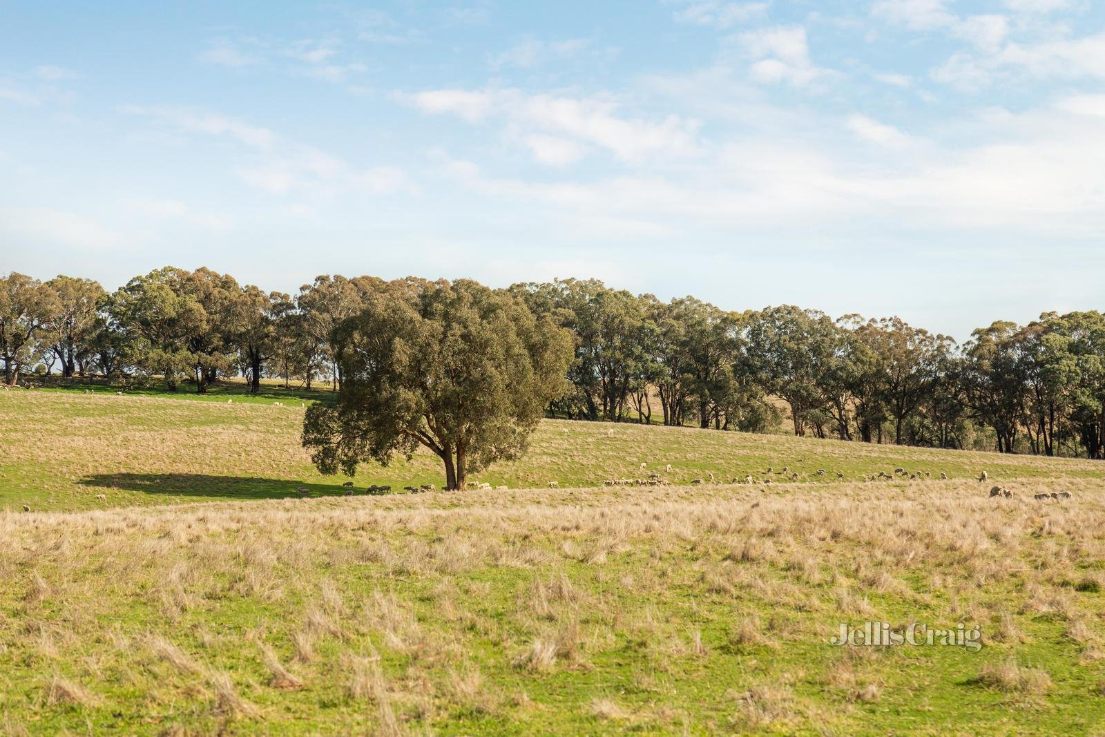 Lot 86 Surface Hill Lane, Raglan image 9