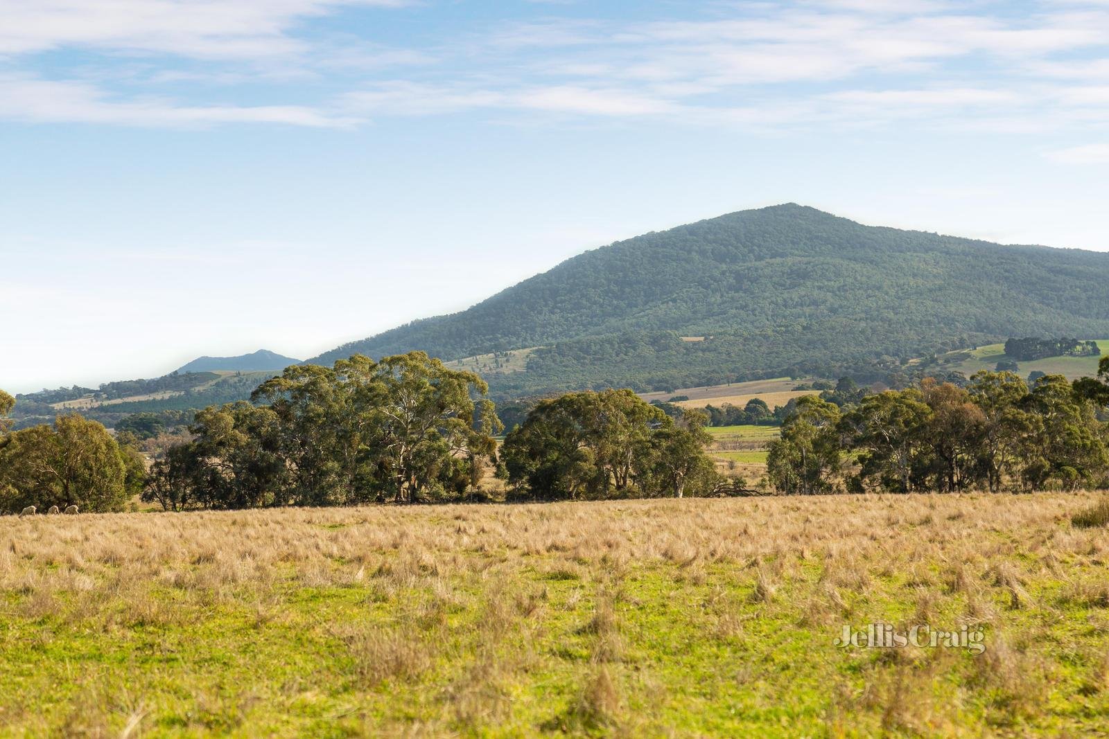 Lot 86 Surface Hill Lane, Raglan image 10