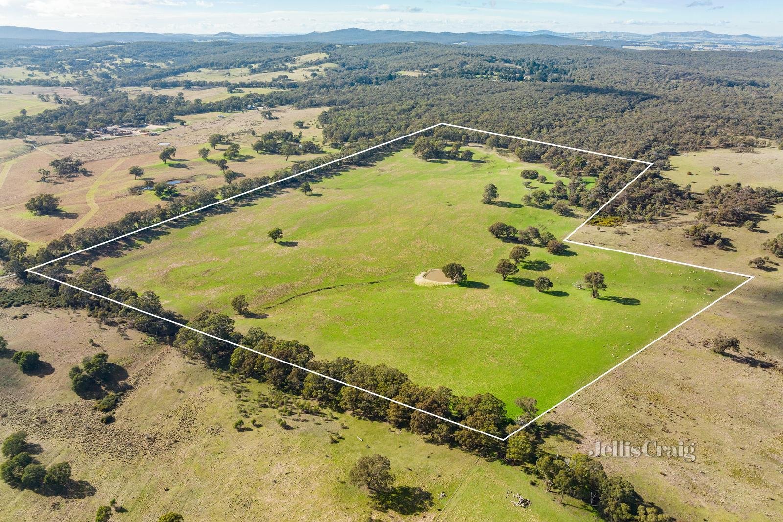 Lot 86 Surface Hill Lane, Raglan image 12