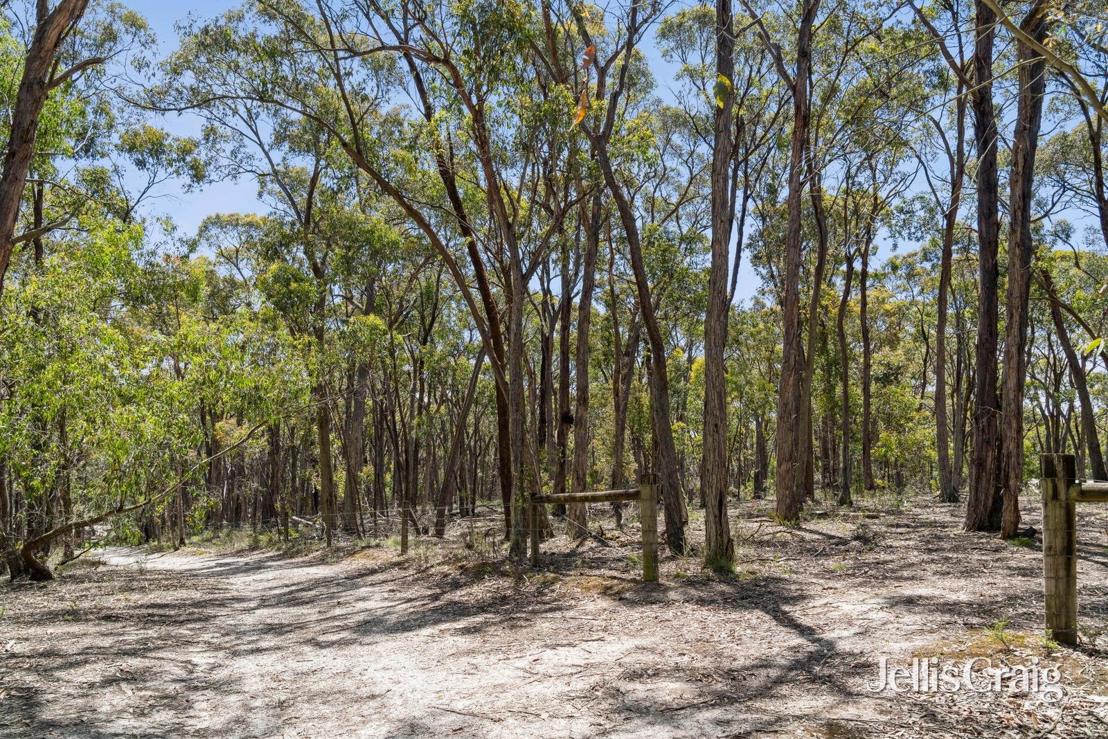 Lot 9 Post Office Road, Smythes Creek image 1