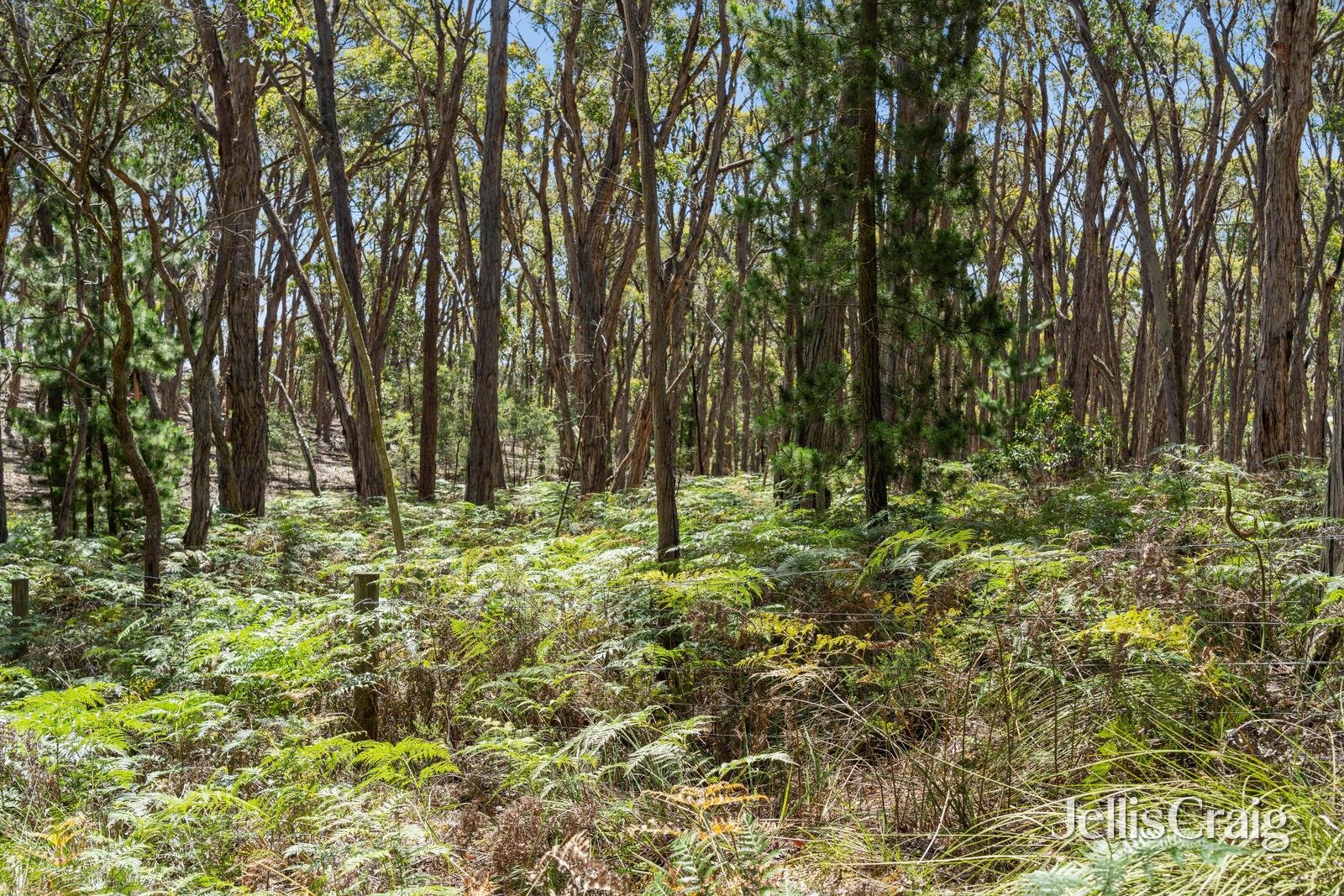 Lot 9 Post Office Road, Smythes Creek image 5