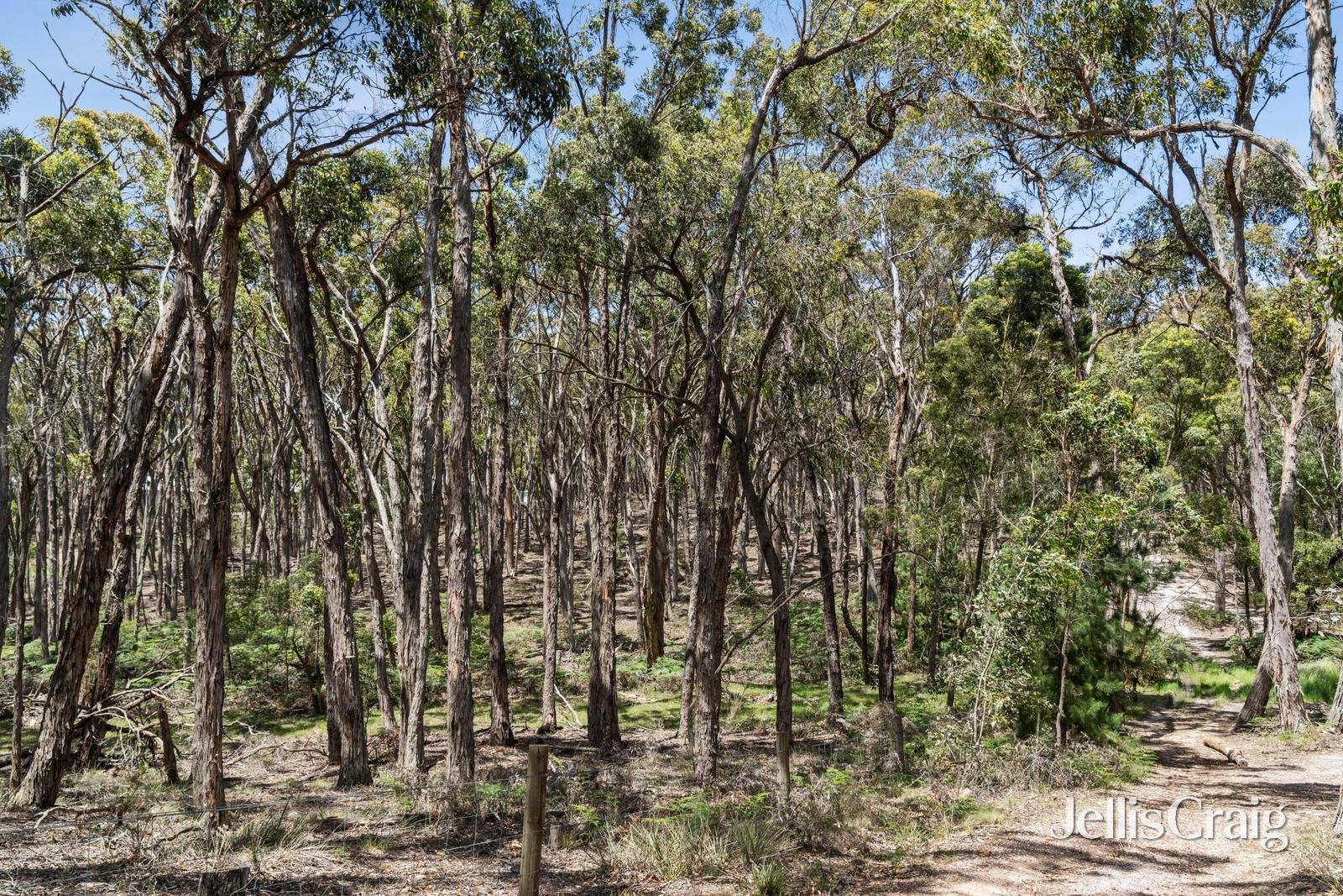 Lot 9 Post Office Road, Smythes Creek image 6