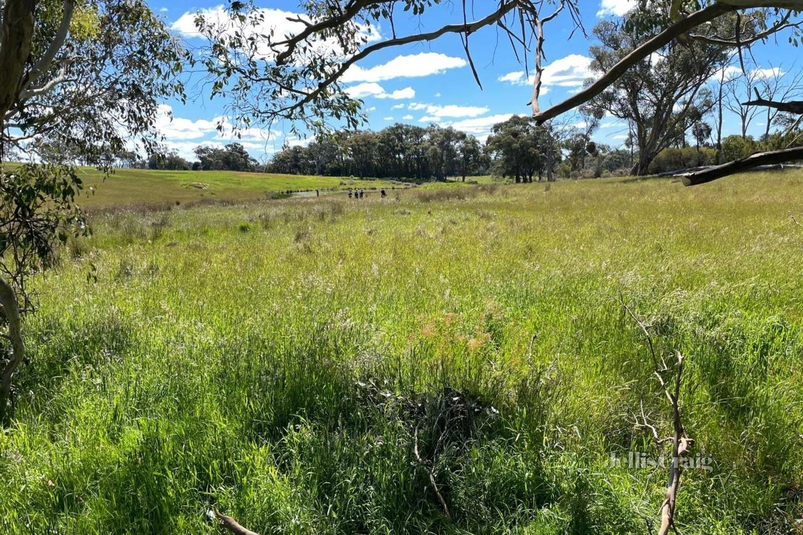 Lot 9 Slatey Creek Road, Invermay image 10