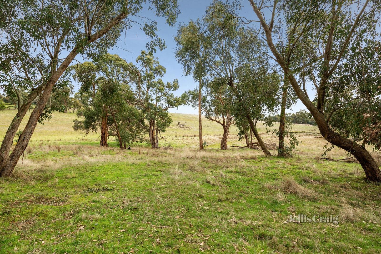 Lot 9 Slatey Creek Road, Invermay image 16