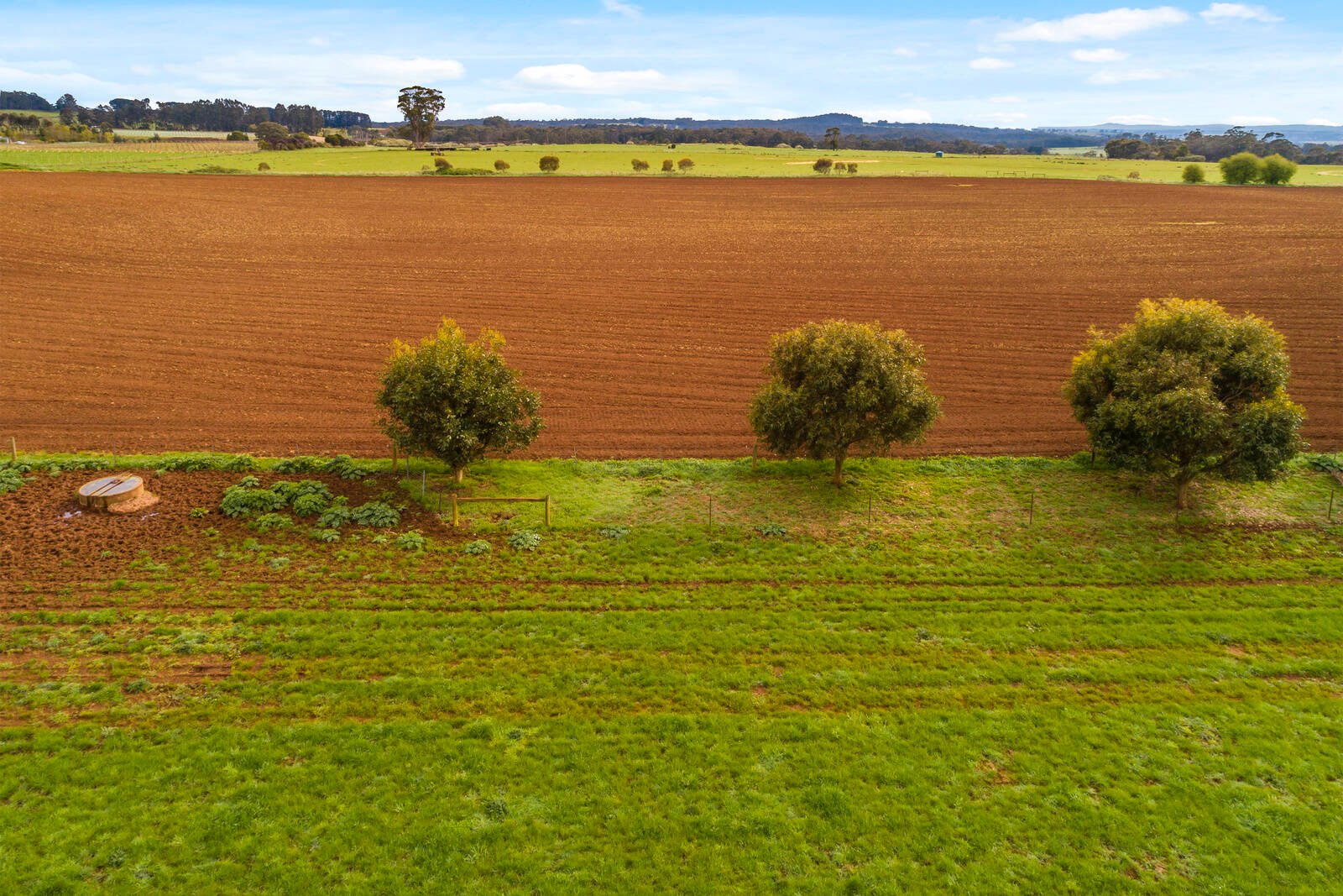 Property Gallery Thumbnail 5