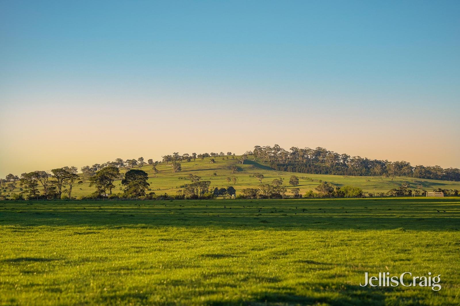 Lots 1-4 Rollinsons Road, Greenhill image 2