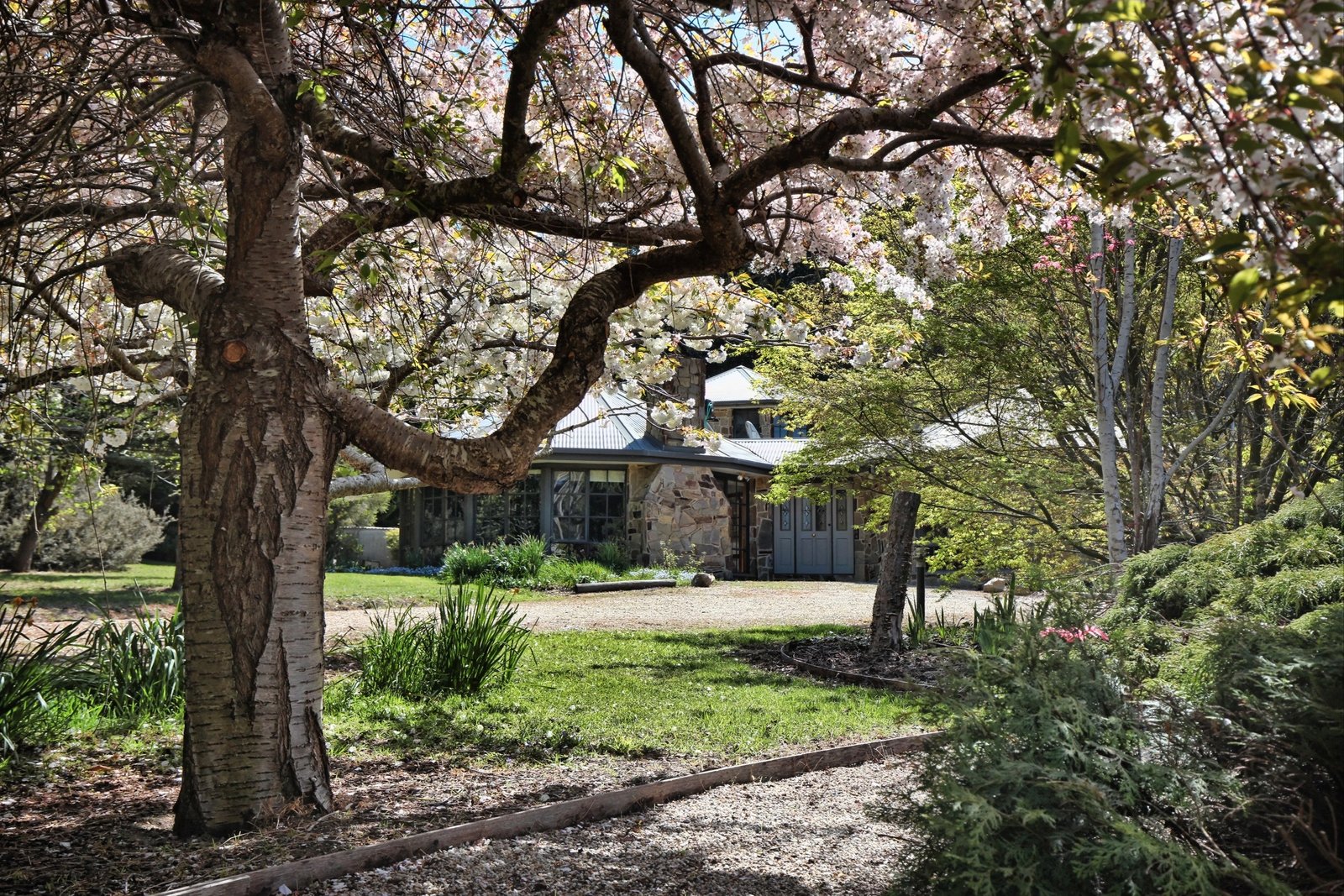 Property Gallery - Main Image