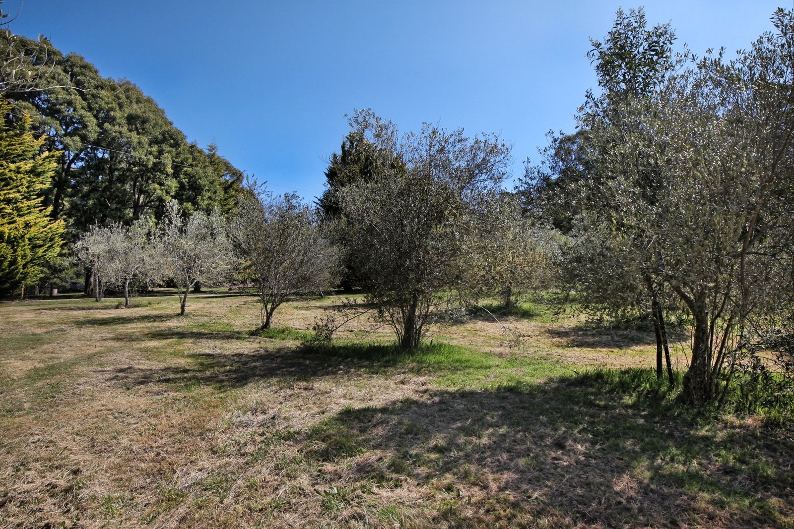Property Gallery Thumbnail 18