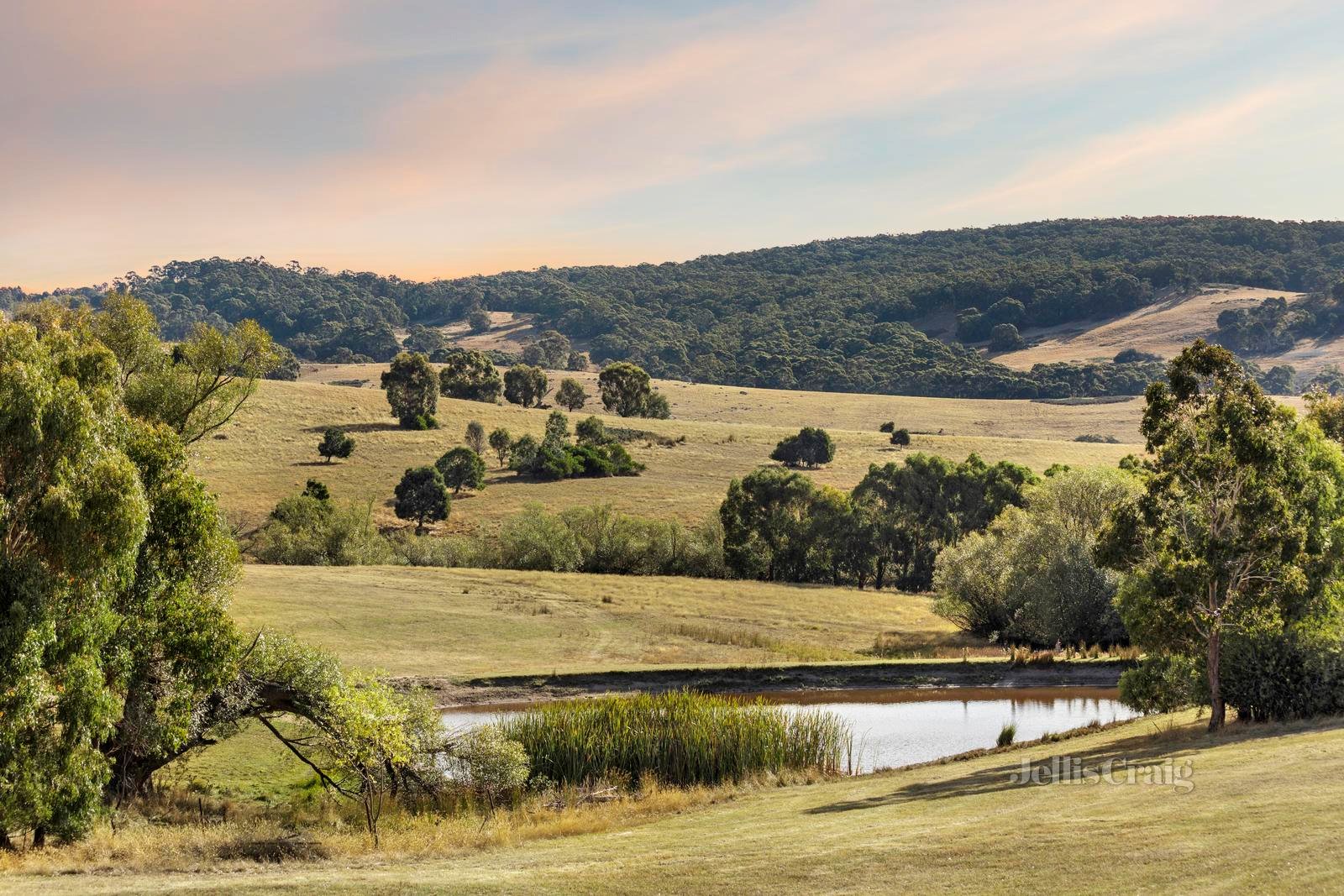 'Malumba' 995 Lancefield-Tooborac Road, Nulla Vale image 6