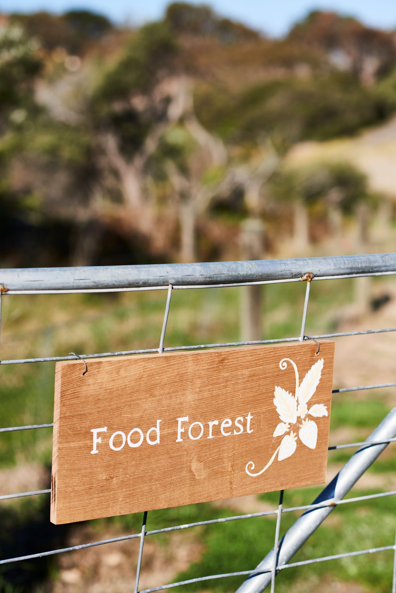 Point Lonsdale, VIC, 3225 RT Edgar