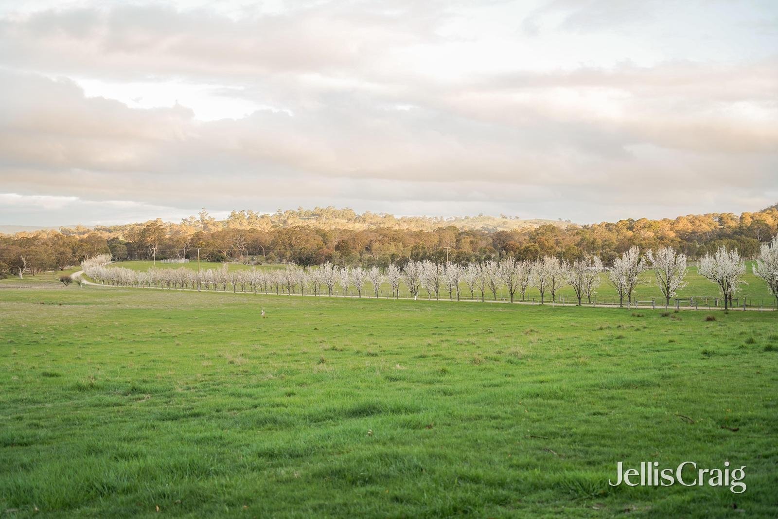 'Raxton Hall ' 79 Manns Road, Kyneton image 17