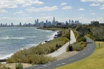 Rear/241 Brighton Road, Elwood image 11