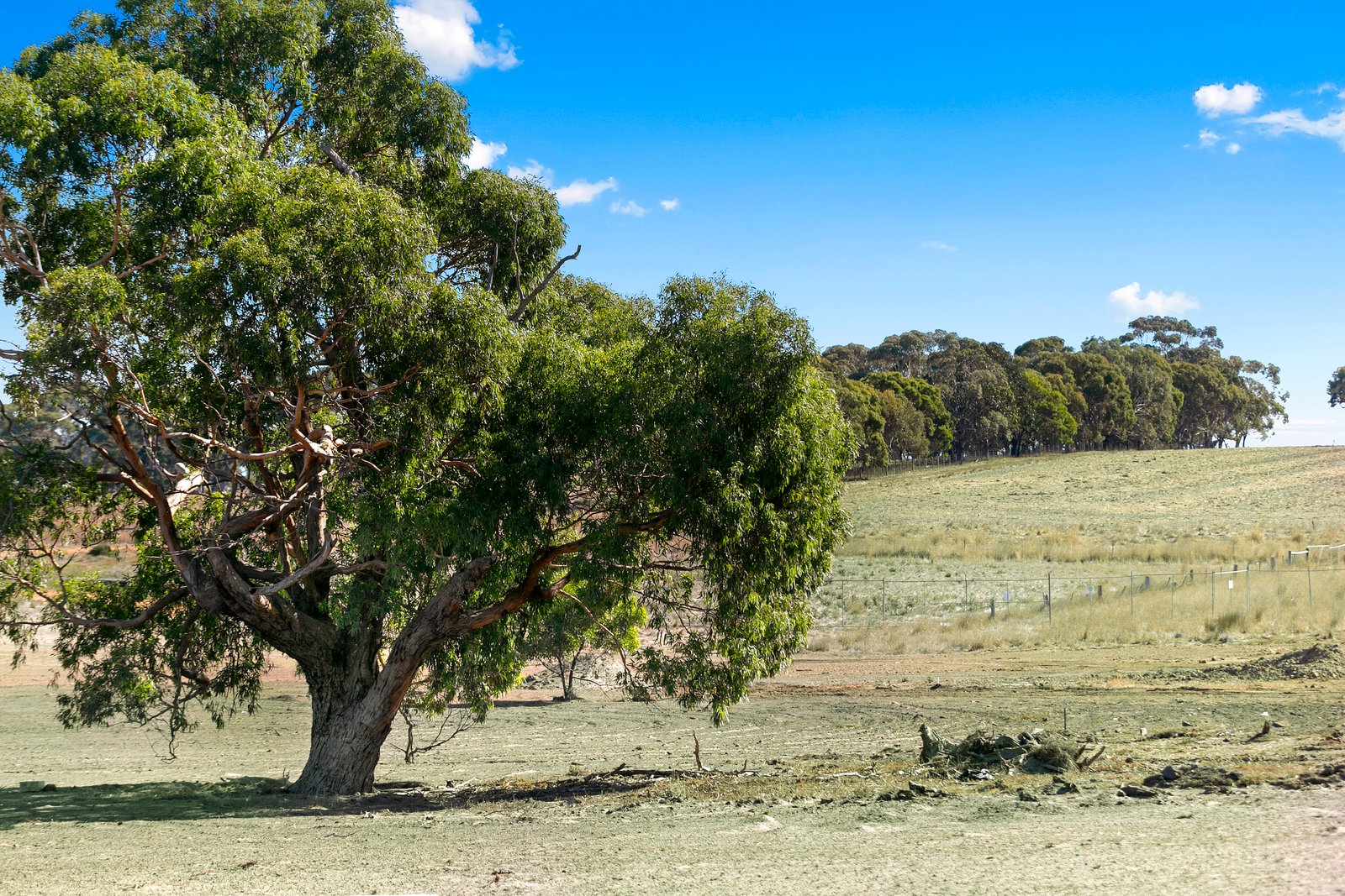 Property Gallery Thumbnail 3