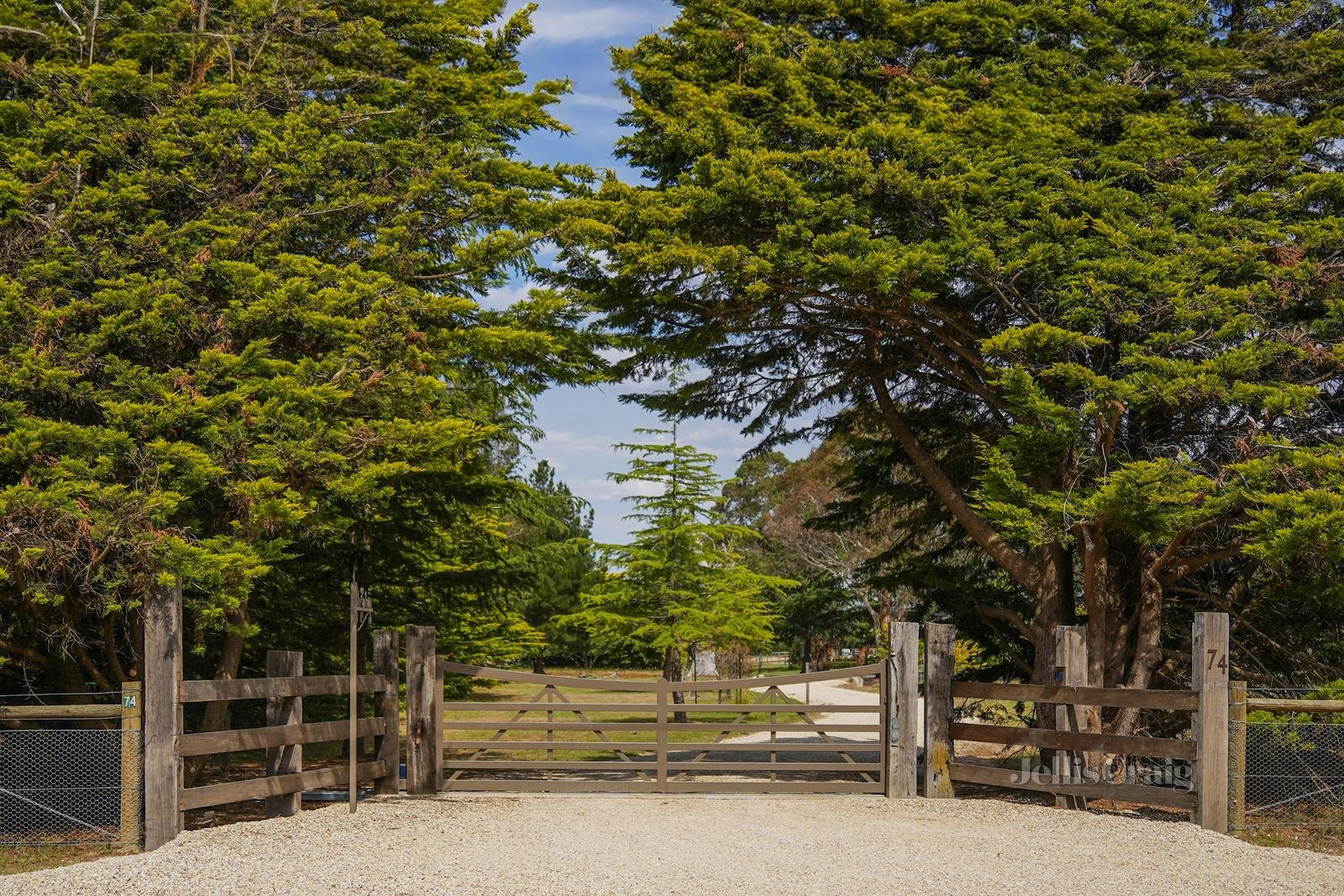 'The Cedars' 74 Govans Lane, New Gisborne image 2