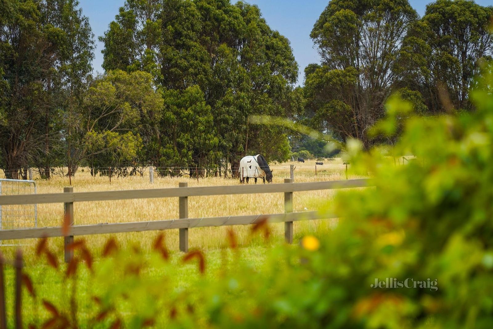 'The Cedars' 74 Govans Lane, New Gisborne image 14