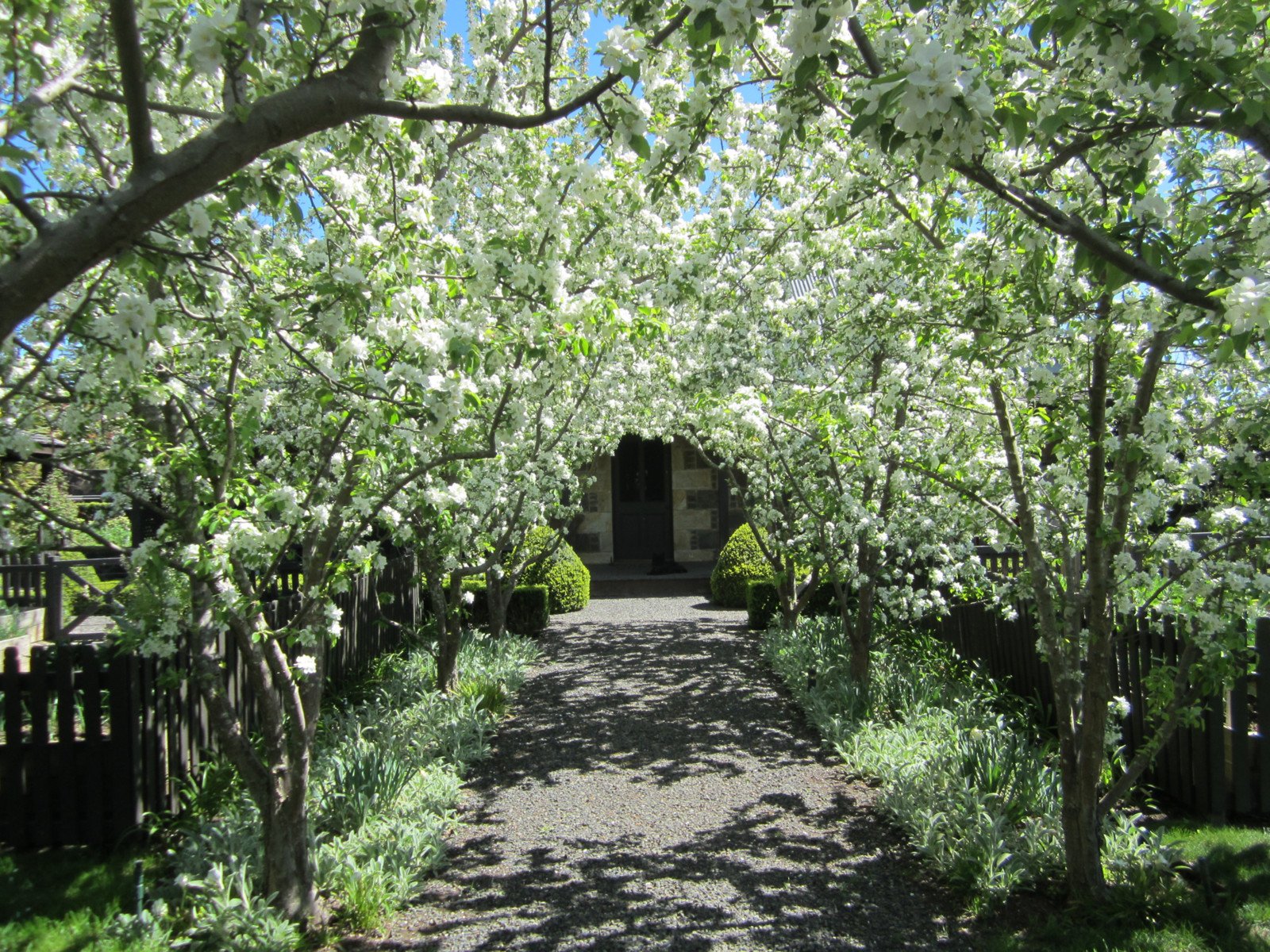 The Old Rectory, 61 Ebden Street, Kyneton image 12