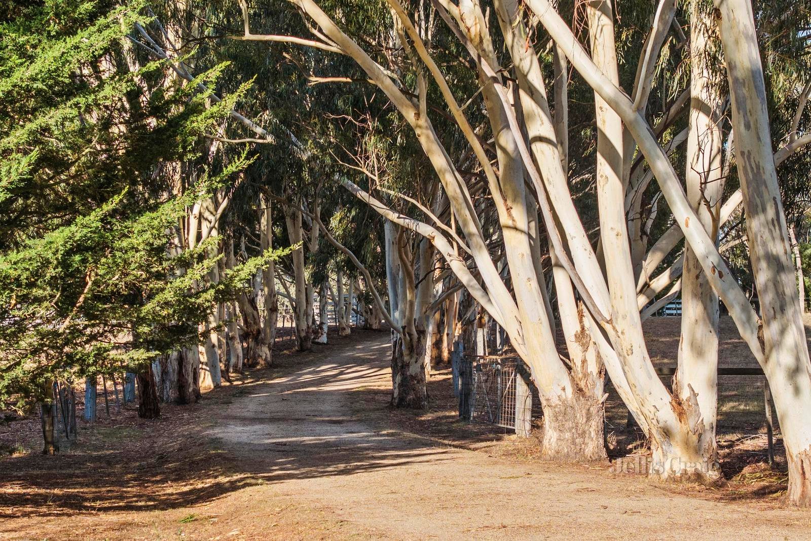 'Wonnerup Park' 1301 Three Chain Road, Cobaw image 3