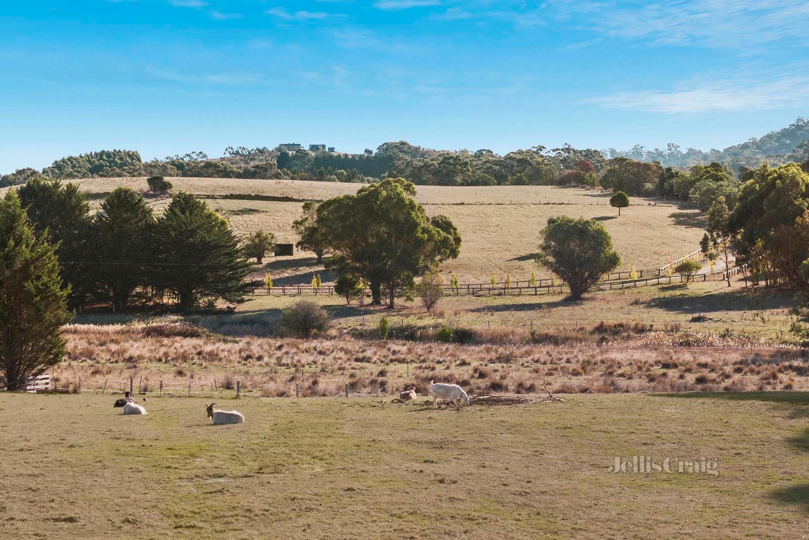 'Wonnerup Park' 1301 Three Chain Road, Cobaw image 12